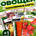 сорта семян овощей для открытого грунта