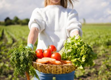 выгодно или нет выращивание овощей на продажу