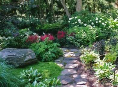 Какие кустарники лучше всего растут в тени: рекомендации садоводов