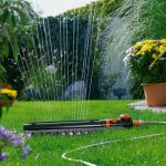 Как выбрать поливочное оборудование для дачи с экономией воды
