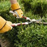 Уход за садом для загородных домов: варианты услуг для тех, кто живет в городе