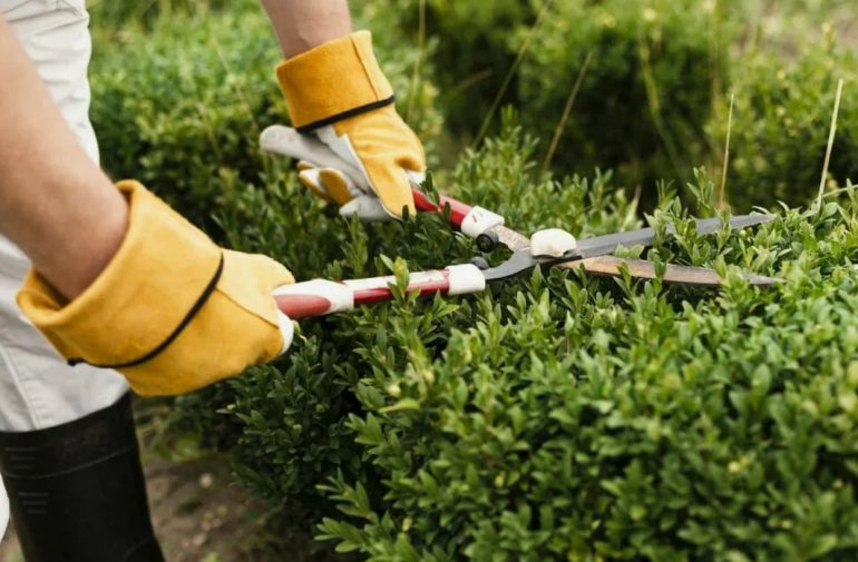 Уход за садом для загородных домов: варианты услуг для тех, кто живет в городе