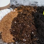 Почвенный грунт и удобрения: как выбрать правильную основу для урожая